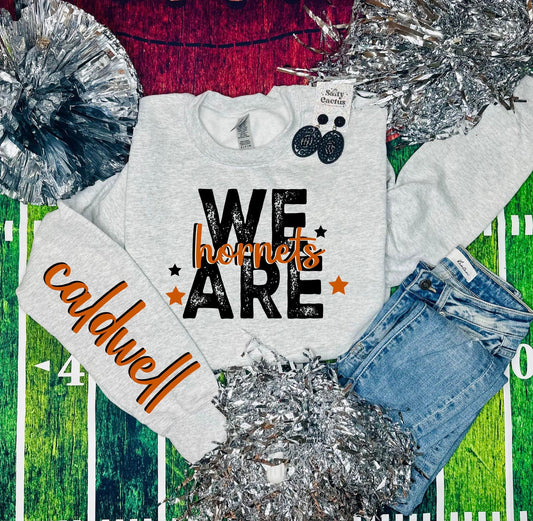 We are spirit