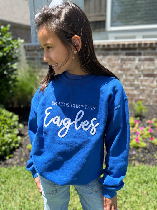 Brazos Christian Eagles 3D Puff