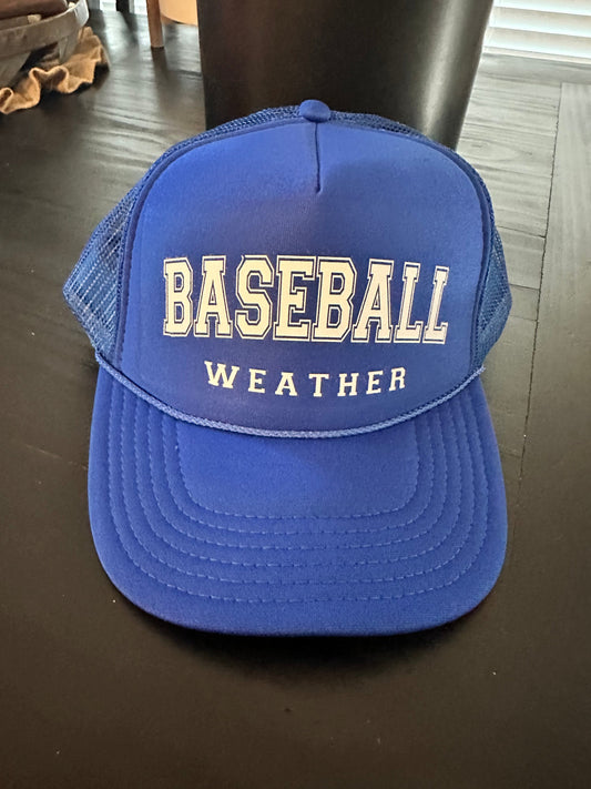 Baseball Weather DTF Printed Blue Trucker Hat